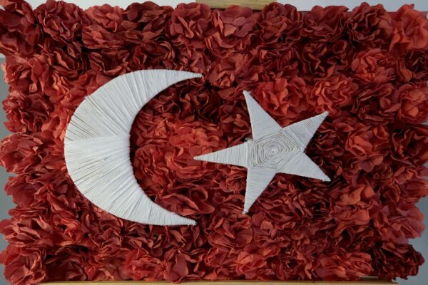 Kırklareli’nde Down Sendromlu Öğrencilerden “Bayrak” Sergisi
