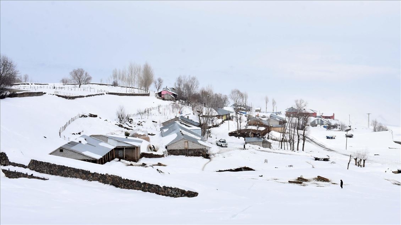 Muş İlinin Bazı Köylerde Tek Katlı Evler ve Ahırlar Karla Kaplandı