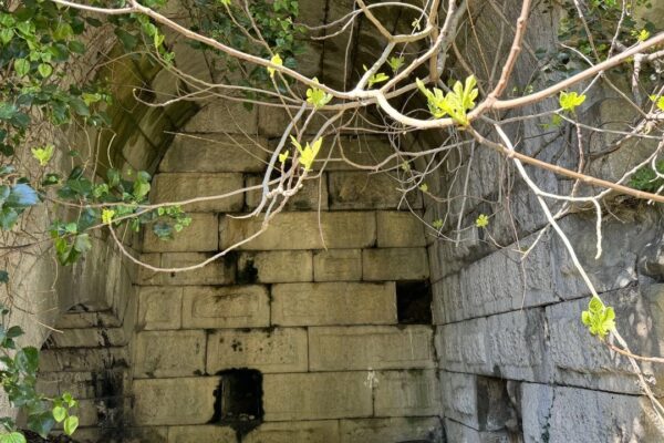 Amasra’da İzinsiz Kazı Yapan 6 Kişi Suçüstü Yakalandı