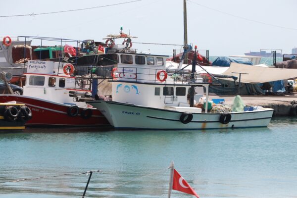 Tekirdağ’da Küçük Teknelerin Tuttuğu Balıklar Tezgahları Süslüyor