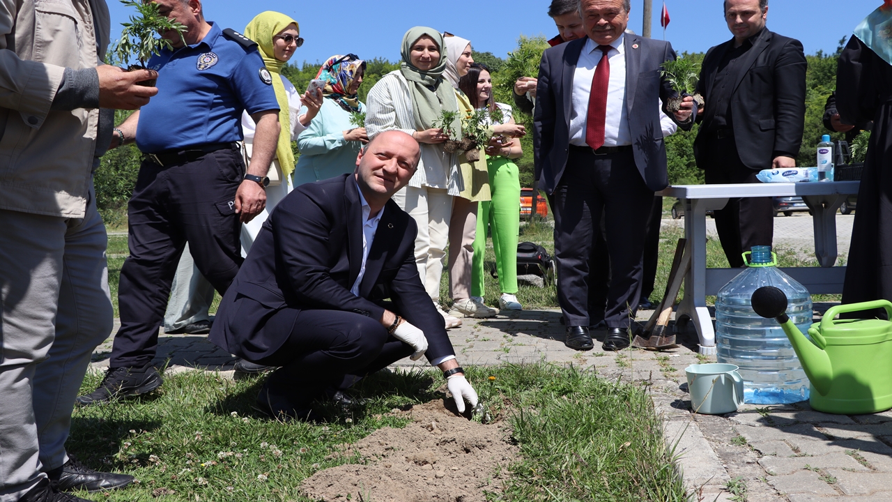 Ferizli'de Dünya Tütünsüz Günü kapsamında çiçek ekildi