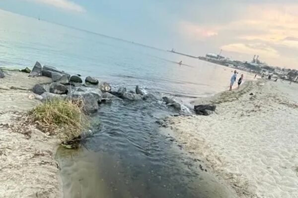 Tekirdağ Belediyesine Ait Araçlarla İlgili İnceleme Başladı