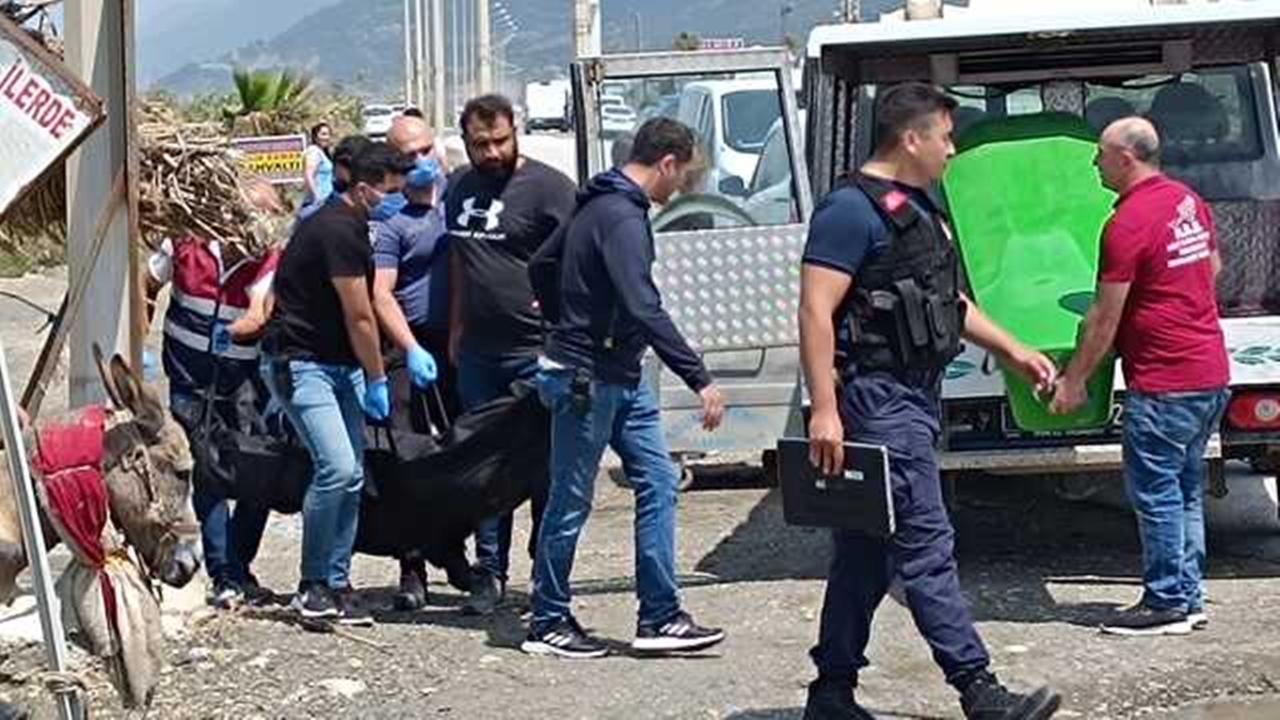 hatay
