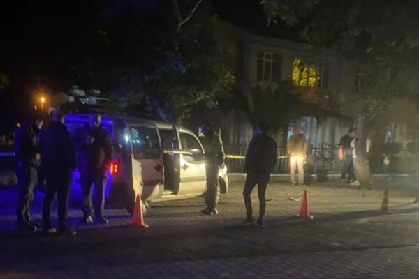 Ağaca Çarpan Hafif Ticari Aracın Sürücüsü Hayatını Kaybetti
