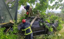 Kamyonet Ağaca Çarptı: Sürücü Yaralandı