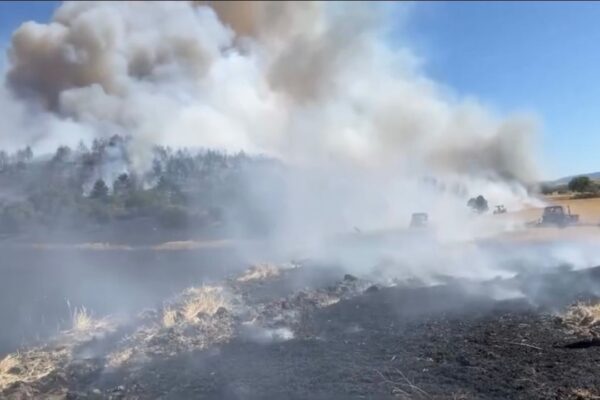 Balıkesir’de Anızda Yangın Çıktı