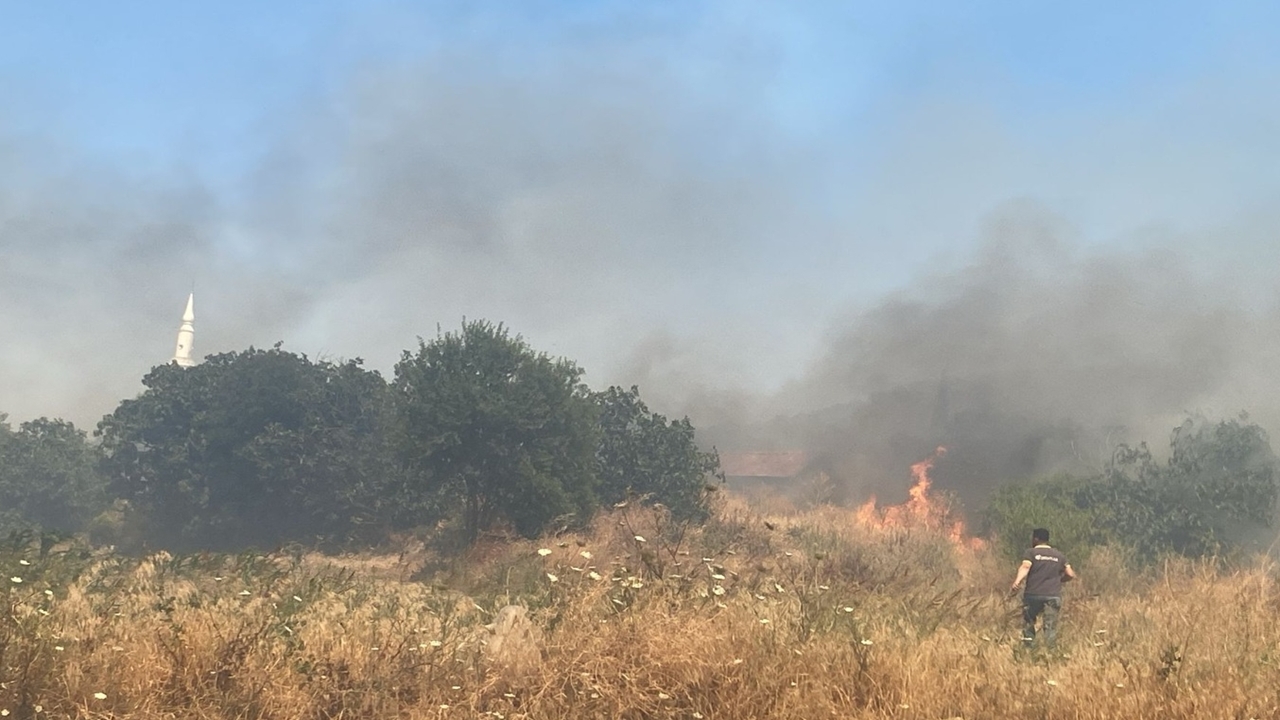 Balıkesir'de tarım arazisinde çıkan yangına müdahale ediliyor