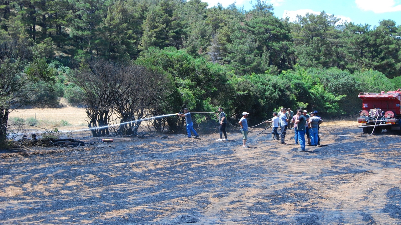 Çanakkale'de tarım arazisinde çıkan yangın söndürüldü
