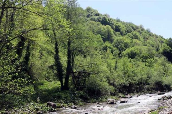 Kocaeli’de Ormanlık Alanlara Girişler Yasaklandı