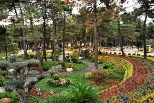 Millet Bahçelerine İlgi Büyük