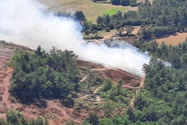 Çanakkale Ezine’de Orman Yangını