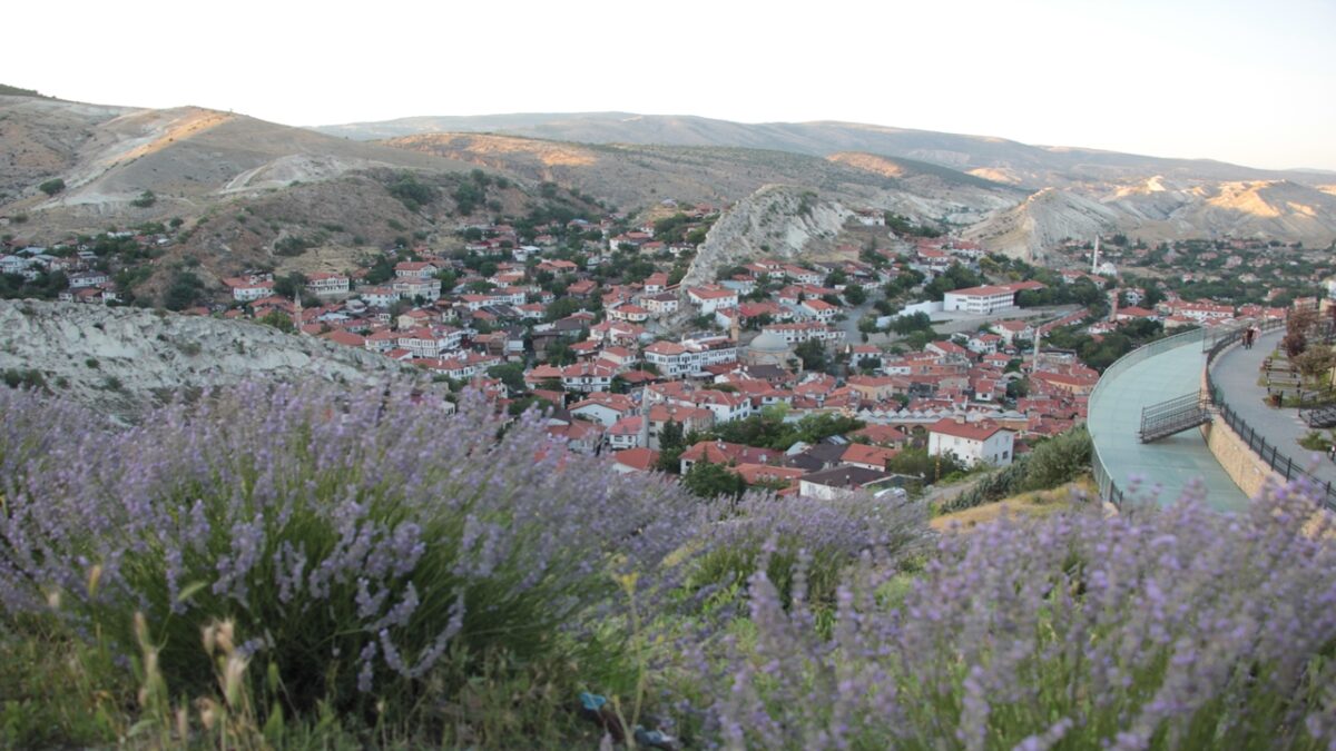 Beypazarı’nda Lavanta Bahçesi İlgi Odağı Oldu