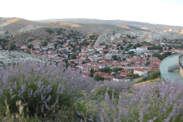 Beypazarı’nda Lavanta Bahçesi İlgi Odağı Oldu