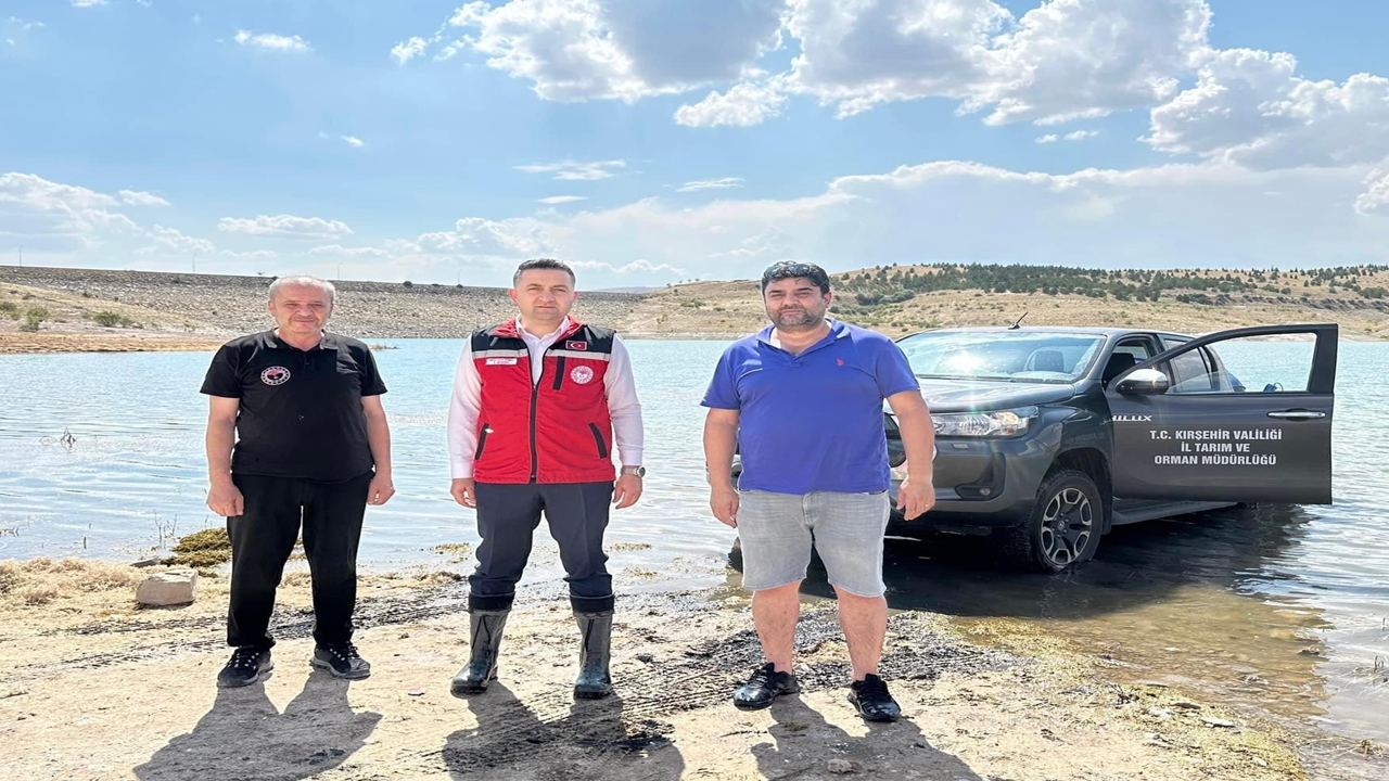 Kırşehir'de göletlere 1 milyon 394 bin sazan yavrusu bırakıldı