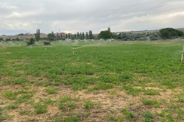 Melikgazi Belediyesinden Su Tasarrufu
