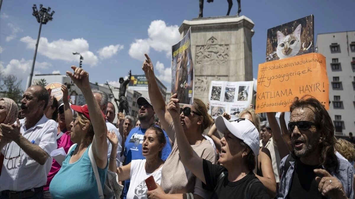 Hayvanseverlerden Protesto: “Hayvanları Koruma Kanun Teklifi’ne Karşıyız”