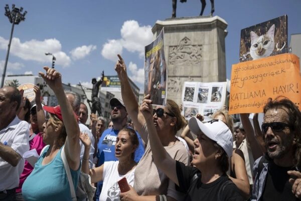 Hayvanseverlerden Protesto: “Hayvanları Koruma Kanun Teklifi’ne Karşıyız”