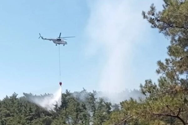 Muğla Menteşe’de Ormanlık Alanda Çıkan Yangın Söndürüldü