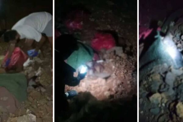 Altındağ’daki Köpek Olayı Ne? ABB’den Açıklama Geldi 