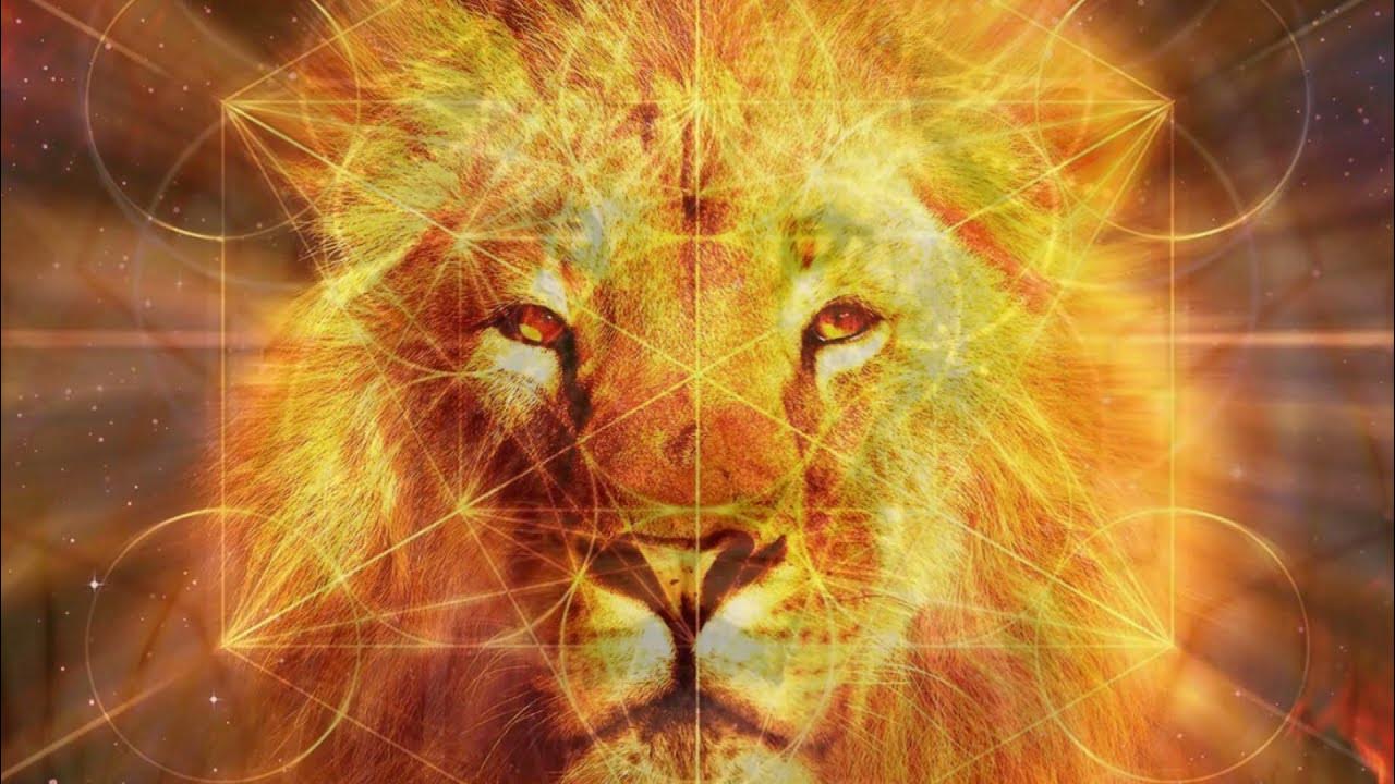 8-8-8 Aslan Portalı