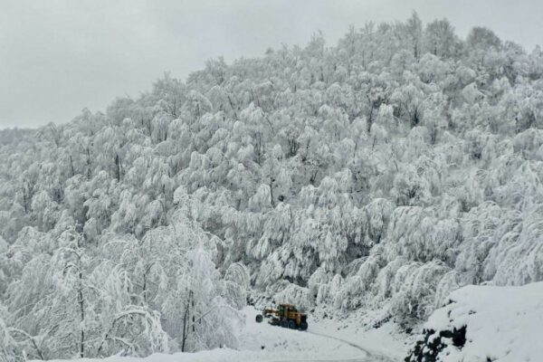 Samsun’da Okullar Tatil Edildi mi? Samsun’da Yarın Okul Var mı?