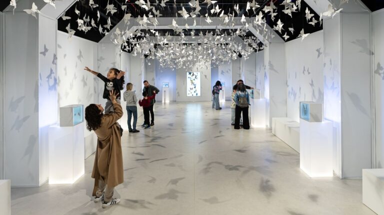 Katılım Emeklilik DigiZoo