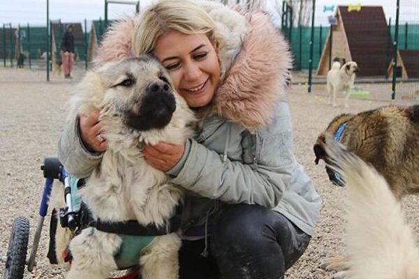 Köpek Velisi Buket Özgünlü Neden Tutuklandı?