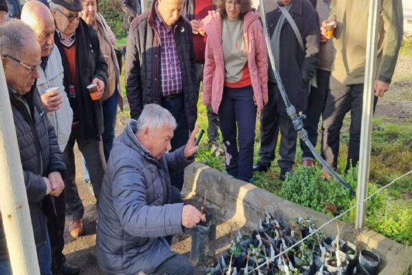 Eceabatlı zeytin üreticileri inceleme gezisine katıldı haberi