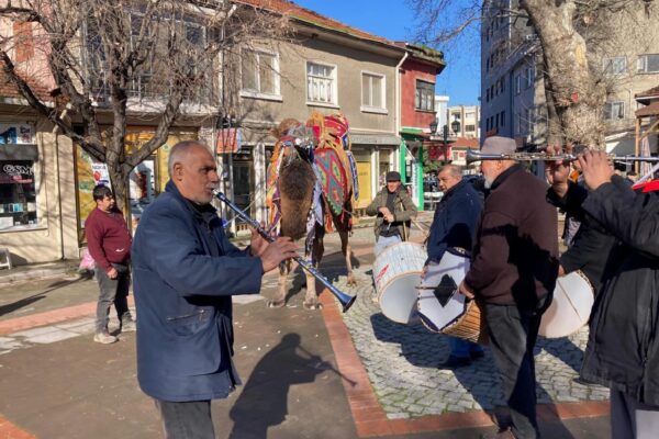 Lapseki’de vatandaşlar deve gösterilerine davet edildi