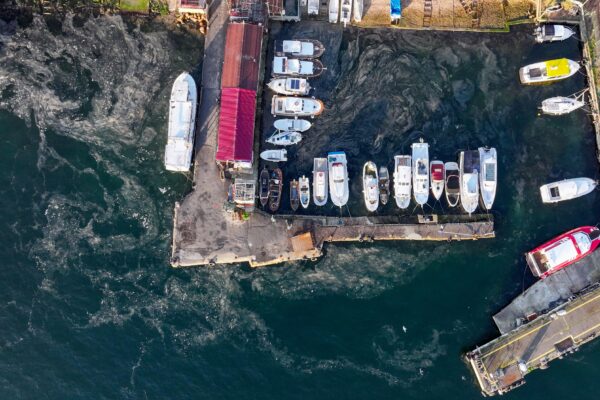 Marmara Denizi’nde müsilaj yeniden görüldü haberi