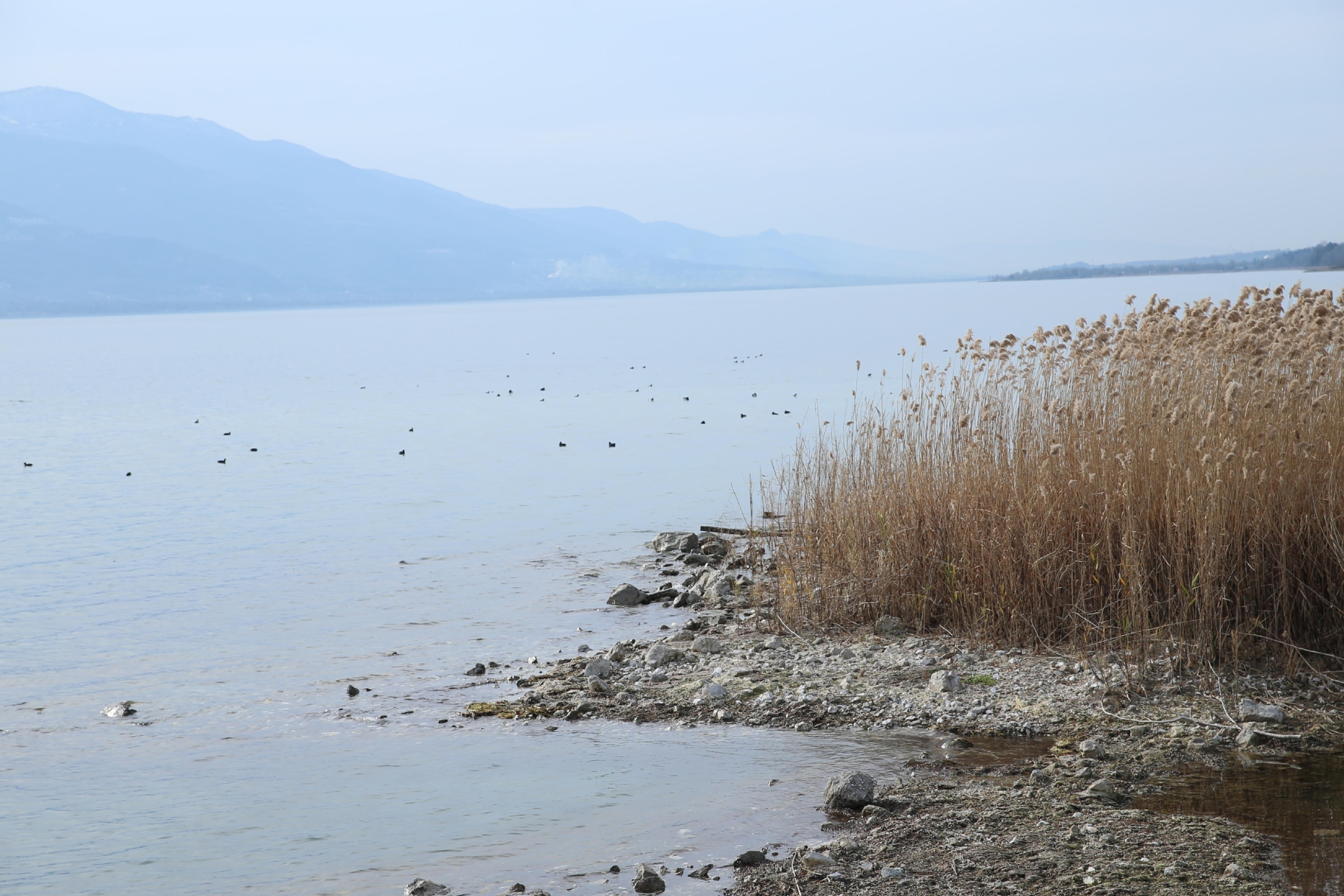 sapanca-golu-calismalarla-korunacak-haberi-ZKlPf5BO.jpg