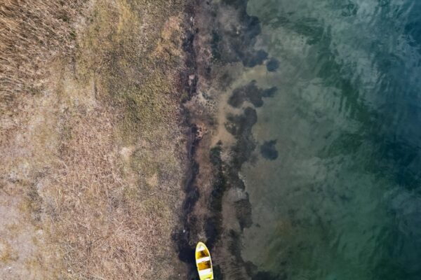 Sapanca Gölü’ndeki su seviyesi bir haftada 13 santimetre arttı haberi