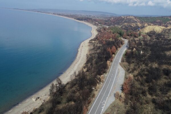 Tarihi Gelibolu Yarımadası’nda orman yangınları için “güvenlik kuşakları” oluşturulacak haberi