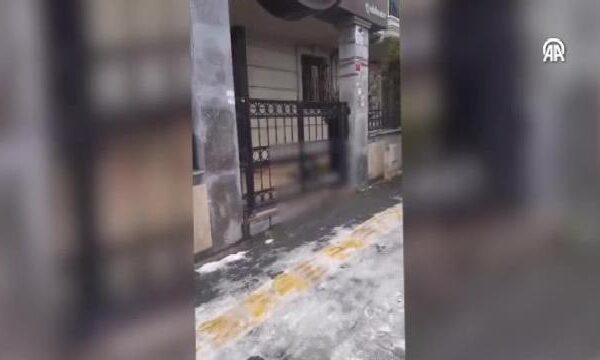 Bahçelievler’de Pitbull cinsi köpeğin saldırdığı kedi öldü haberi