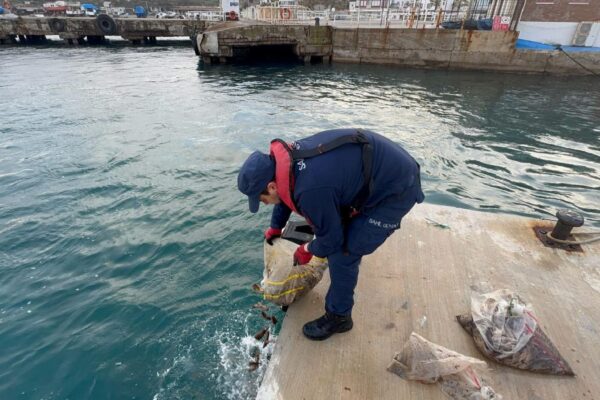 Bozcaada’da kaçak avlanan 19 çuval deniz patlıcanı denize bırakıldı haberi