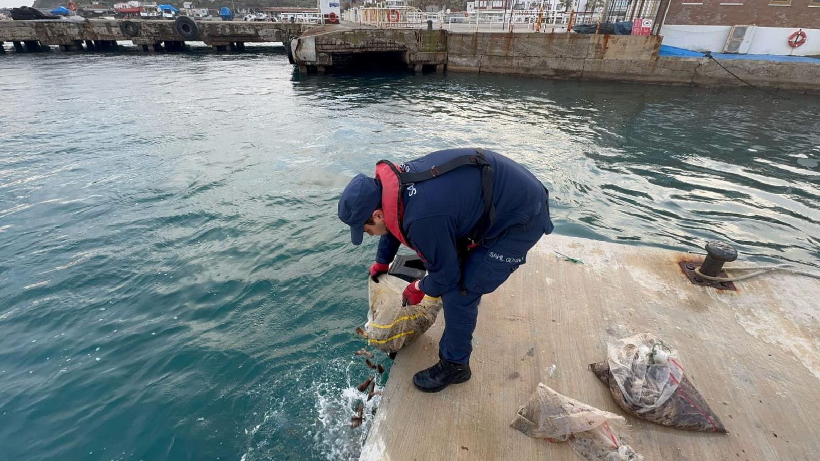 bozcaadada-kacak-avlanan-19-cuval-deniz-patlicani-denize-birakildi-haberi-MWuJz5vL.jpg
