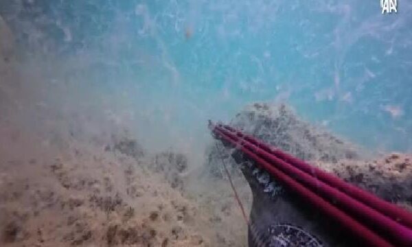 Çanakkale’de dalgıçlar müsilajın deniz dibindeki durumunu görüntüledi haberi