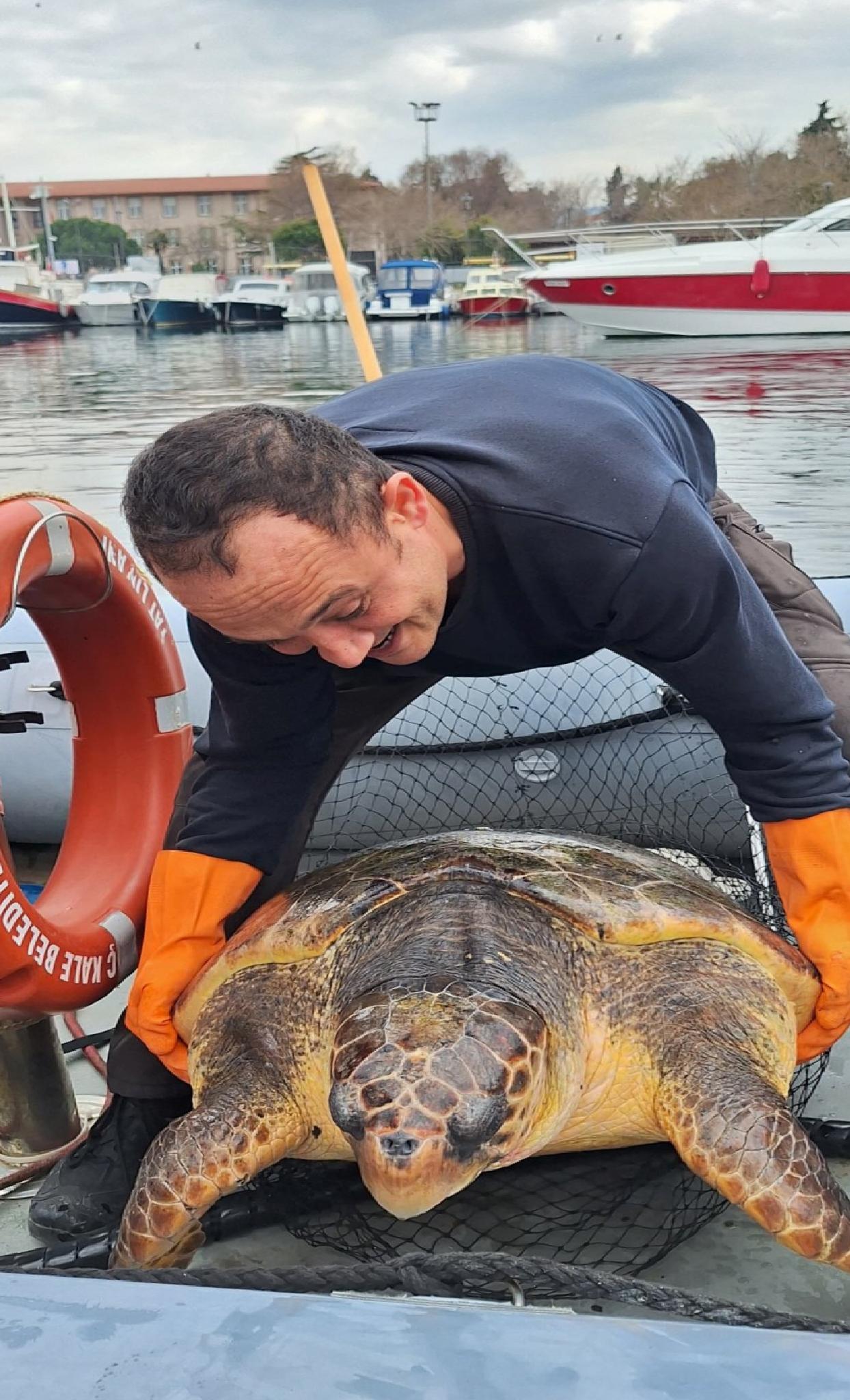 canakkalede-yat-limanina-giren-150-kilogramlik-caretta-caretta-kurtarildi-haberi-HFxSnnU6.jpg