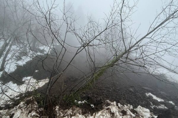 Heyelan nedeniyle kapanan Çam Dağı yolu yeniden ulaşıma açıldı haberi