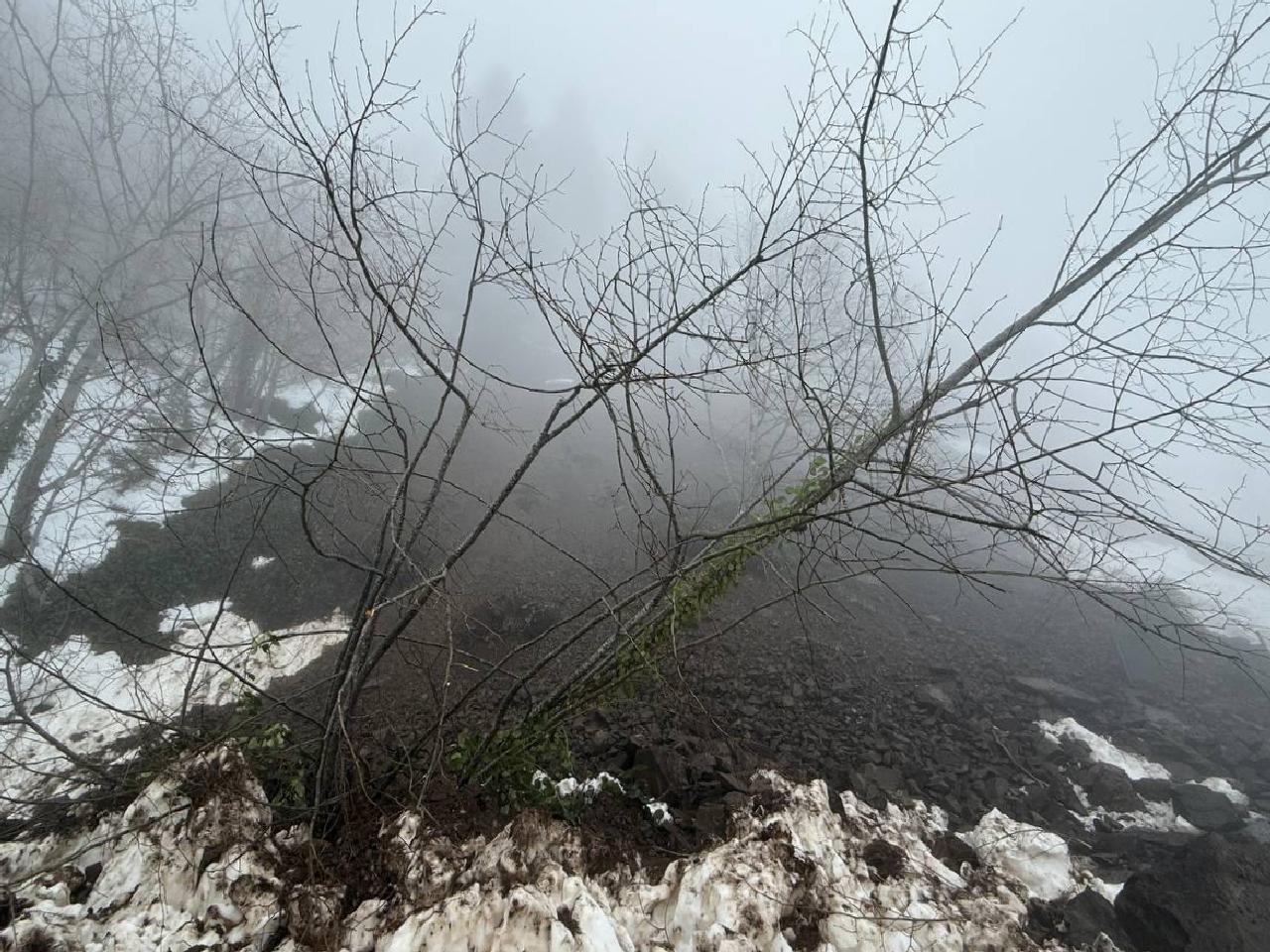 heyelan-nedeniyle-kapanan-cam-dagi-yolu-yeniden-ulasima-acildi-haberi-Z3UMilW2.jpg
