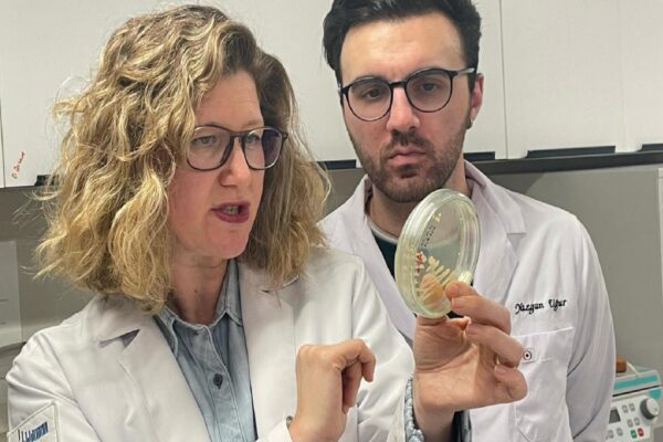 İstanbul Üniversitesi’ndeki bilim insanları uçak yakıtında yeni bir bakteri cinsi keşfetti haberi