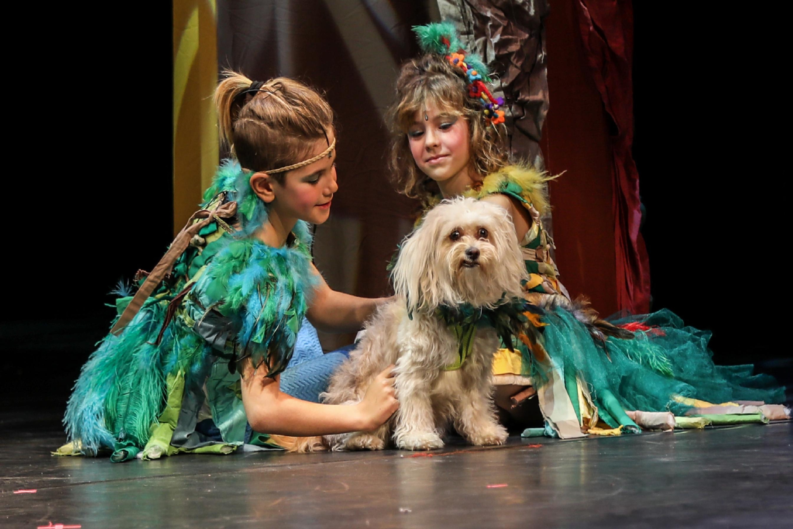 papagenolar-cocuk-operasi-23-mart-23-nisan-arasinda-zorlu-psmde-sahnelenecek-haberi-w7GCdS4T.jpg