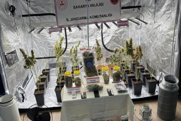 Sakarya’da iklimlendirme sistemiyle uyuşturucu yetiştiren 2 şüpheli tutuklandı haberi