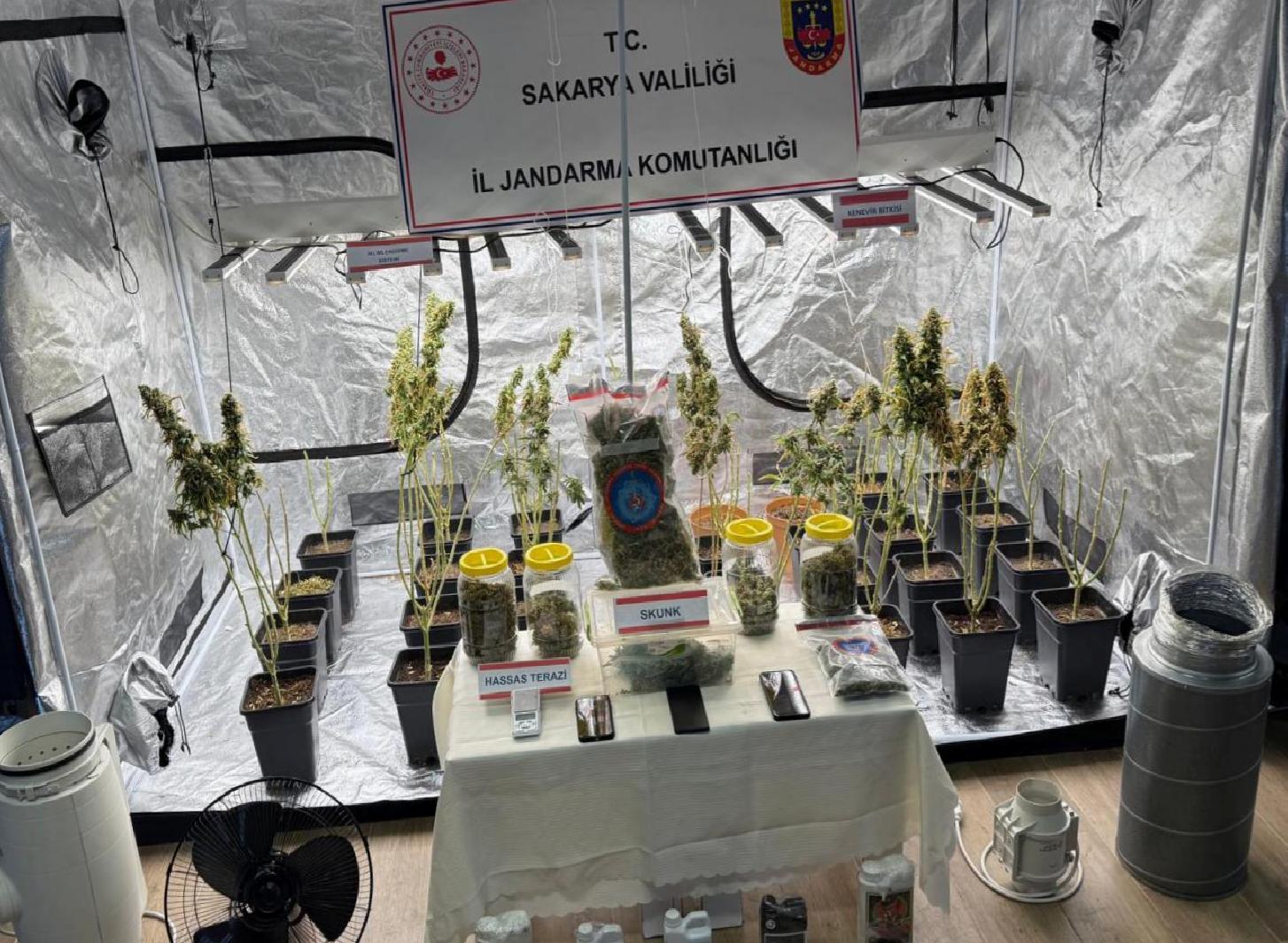sakaryada-iklimlendirme-sistemiyle-uyusturucu-yetistiren-2-supheli-tutuklandi-haberi-l3XO4JiB.jpg