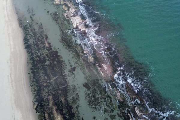 Tekirdağ’da kıyılarda deniz suyu çekildi haberi