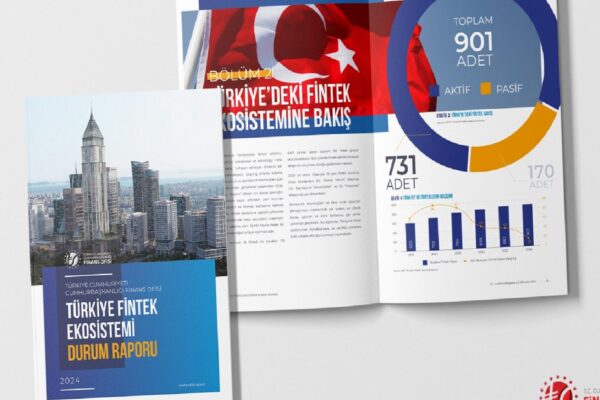 Türkiye Fintek Ekosistemi Durum Raporu 2024 yayımlandı haberi