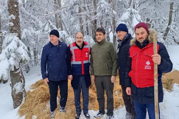 Uludağ’da yaban hayvanları için yem bırakıldı haberi