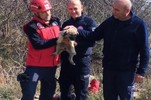 Balıkesir’de çukura düşen köpek yavrusu itfaiye ekiplerince kurtarıldı haberi