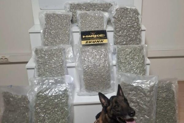 Balıkesir’de uyuşturucu operasyonunda 1 şüpheli yakalandı haberi