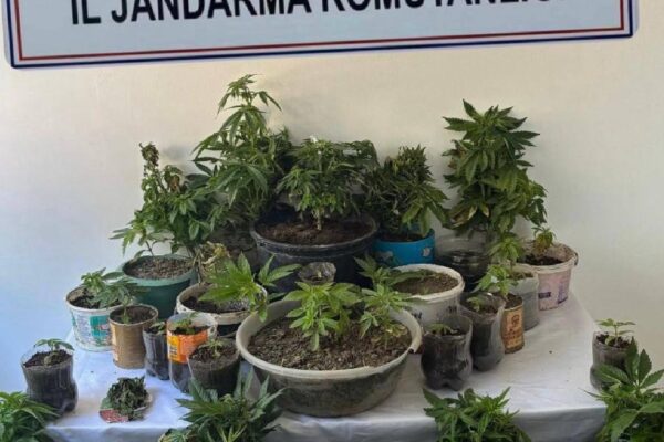 Balıkesir’de uyuşturucu operasyonunda 6 şüpheli yakalandı haberi